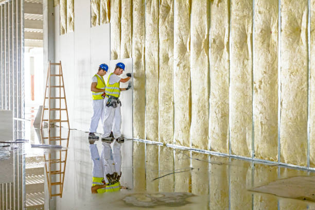 Types of Insulation We Offer in Fort Washakie, WY